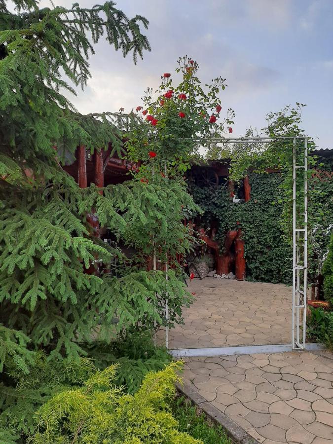 Casa Neagu Hotell Covasna Eksteriør bilde